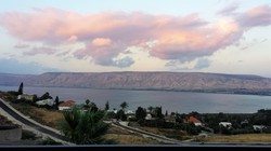 14285_1.jpg