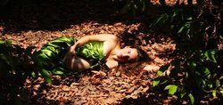 16303_1.jpg 16303_1.jpg