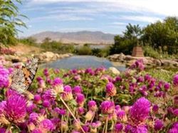 18511_13.jpg 18511_13.jpg