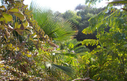 18511_16.jpg 18511_16.jpg