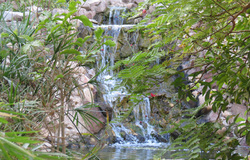 18511_19.jpg 18511_19.jpg