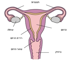 21587_2.jpg