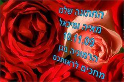 26011_1.jpg