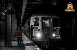 26873_1.jpg