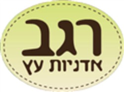 27421_2.jpg