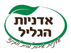 27421_3.jpg