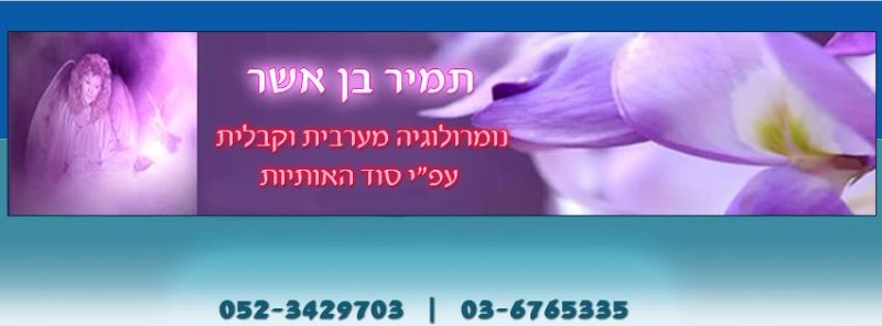 1474450_724615687567855_790997185_n